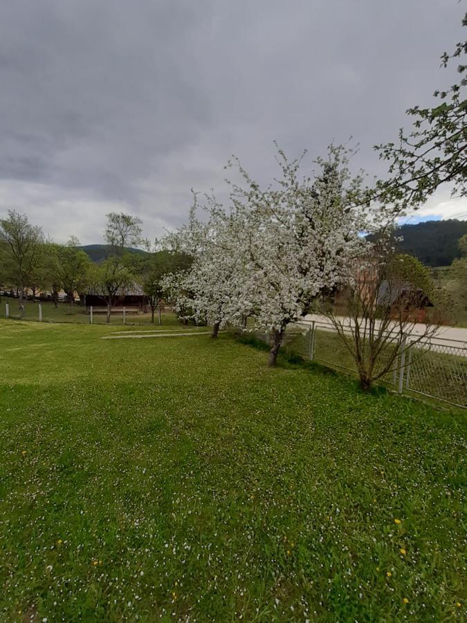 Apartman Djokovic Mokra Gora Kültér fotó