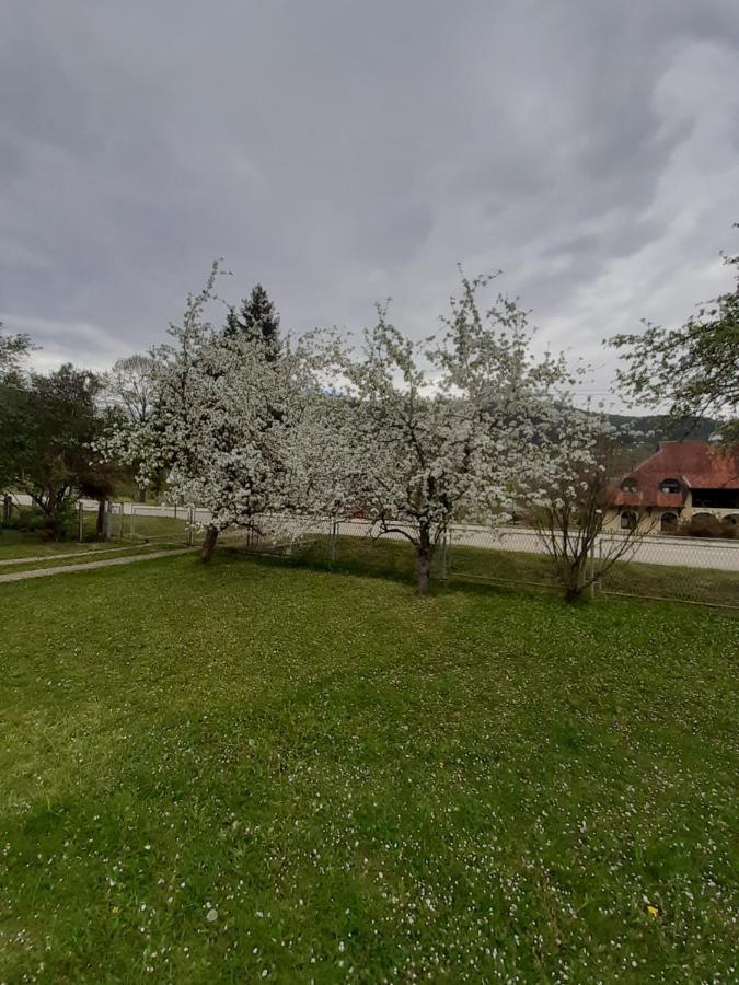 Apartman Djokovic Mokra Gora Kültér fotó