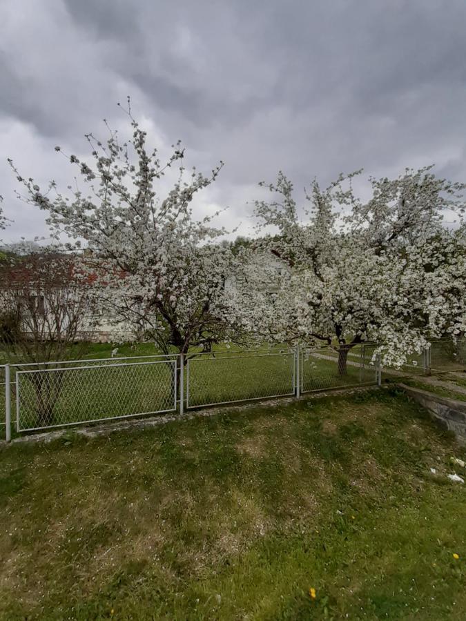 Apartman Djokovic Mokra Gora Kültér fotó