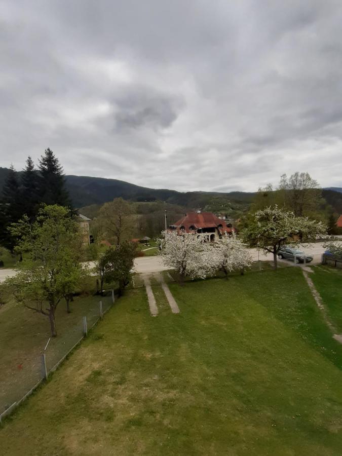Apartman Djokovic Mokra Gora Kültér fotó